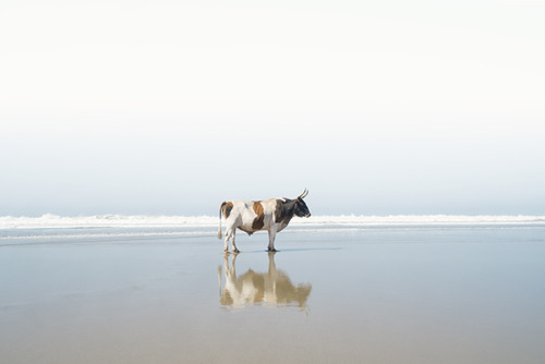 tumblr_njzeunXDSy1qz6f9yo6_500